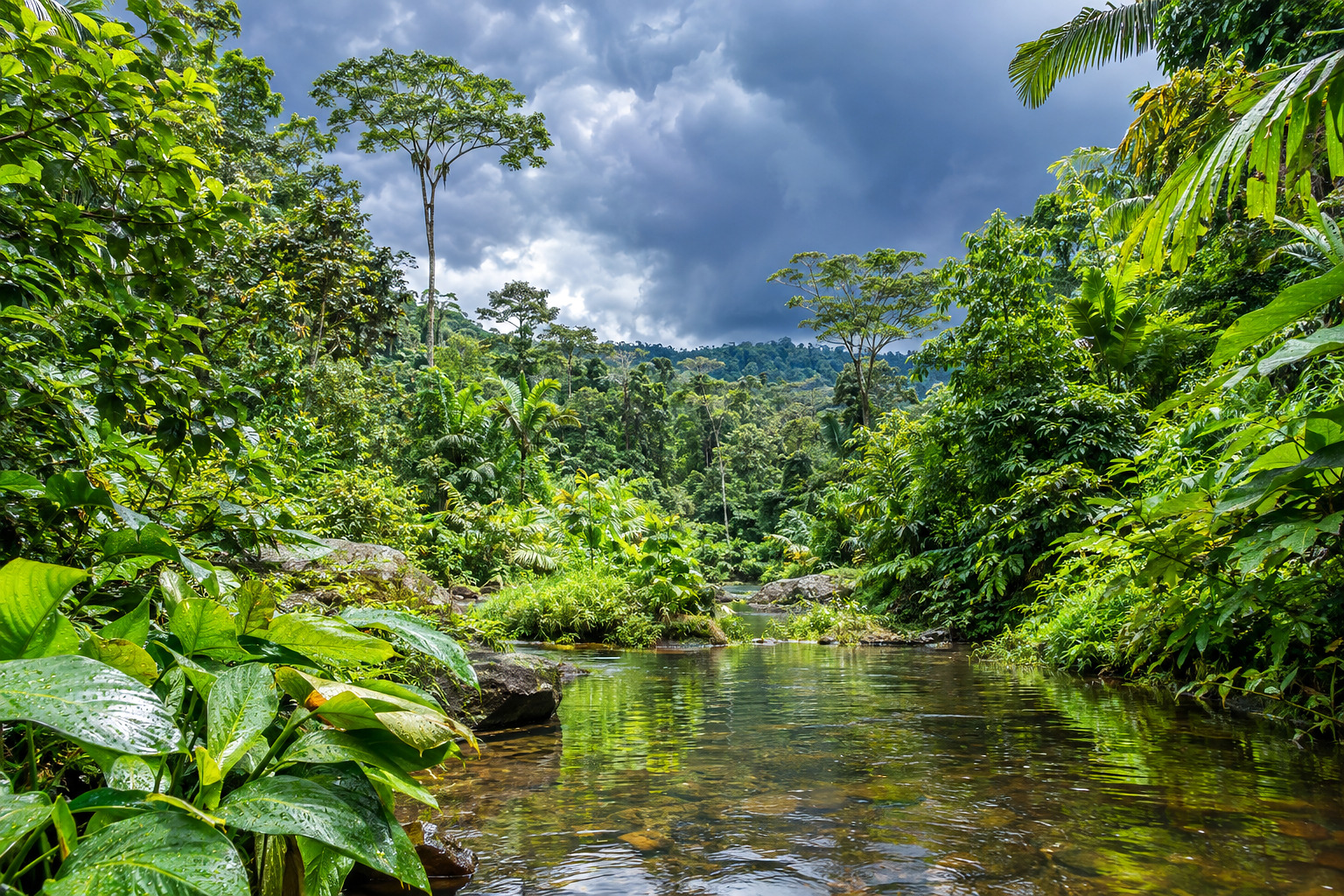 Queimadas na Amazônia
