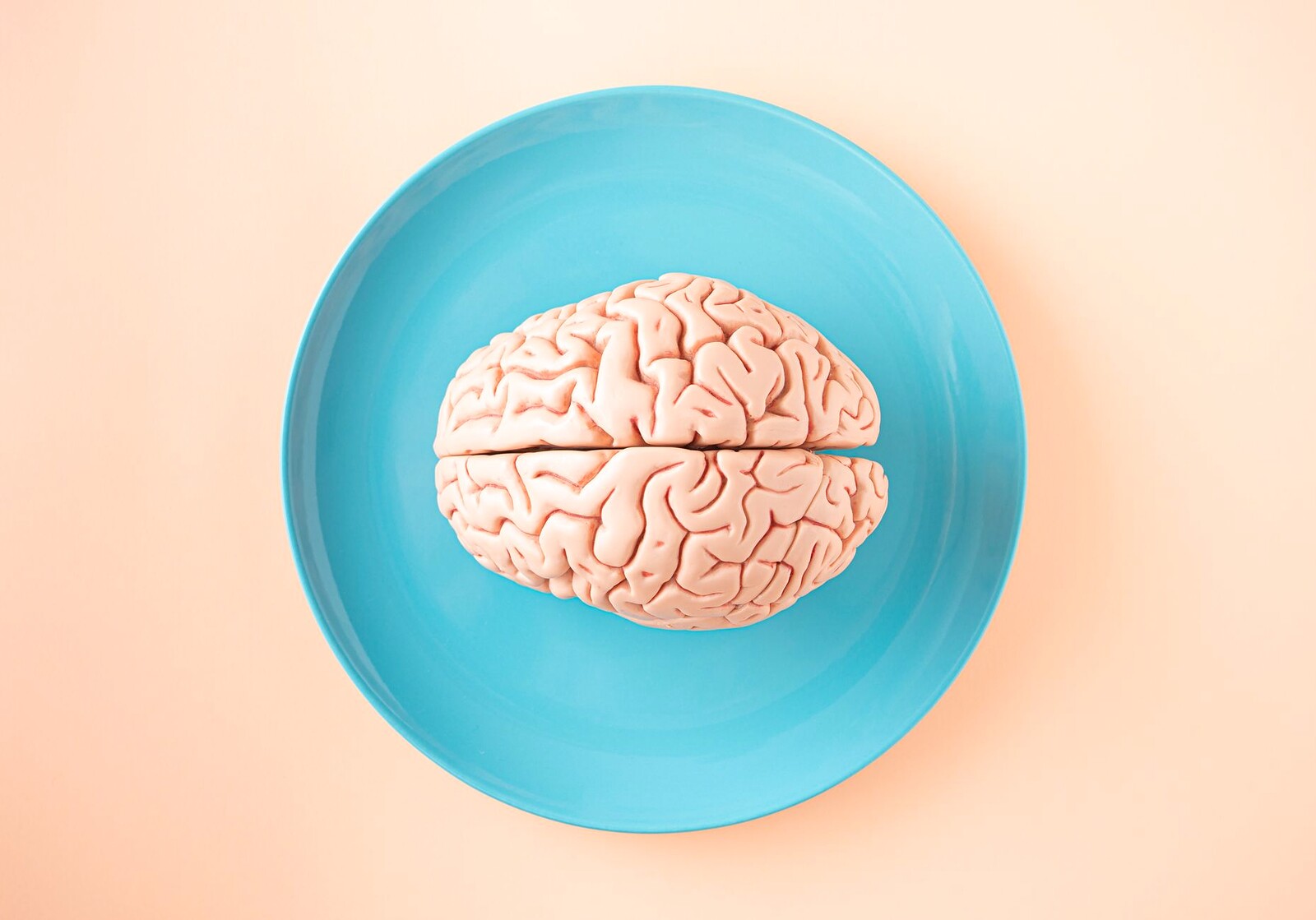 Tecido cerebral humano
