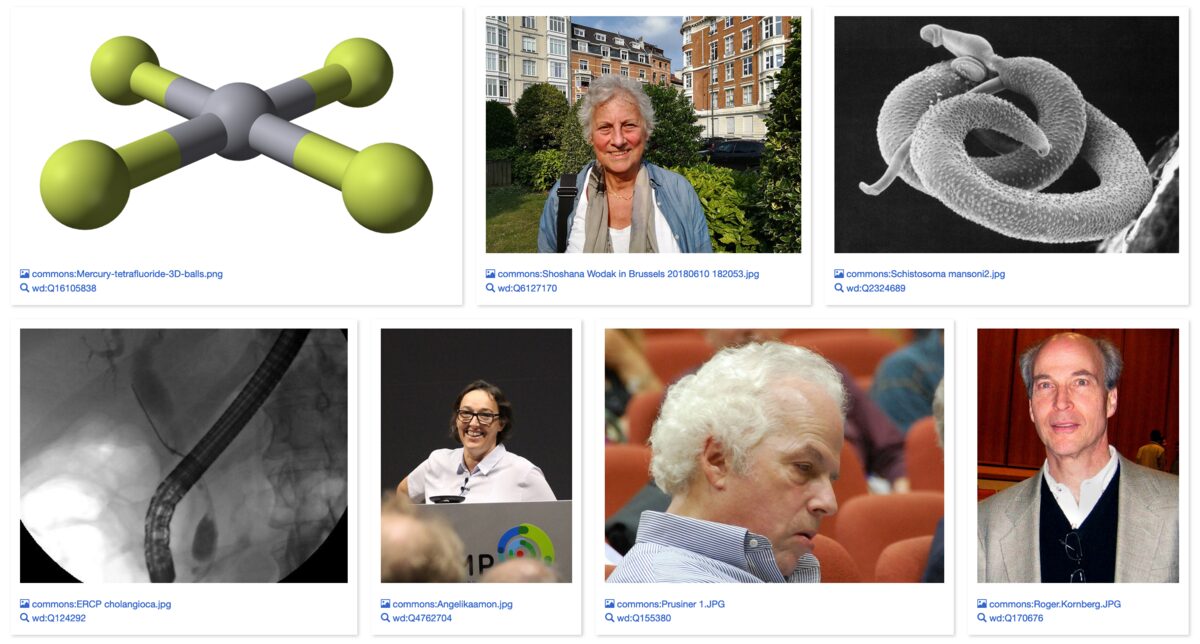 Celebridades na Copa de 1994